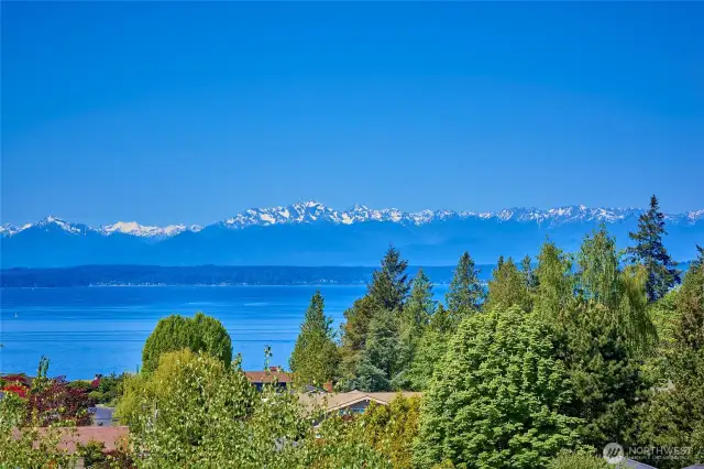 View from deck.