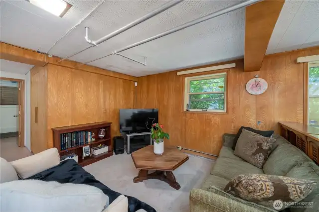 Lower level family area view 2