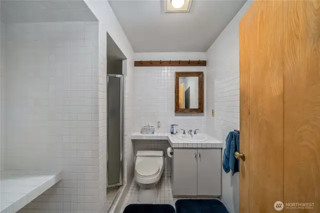 Lower Level bathroom