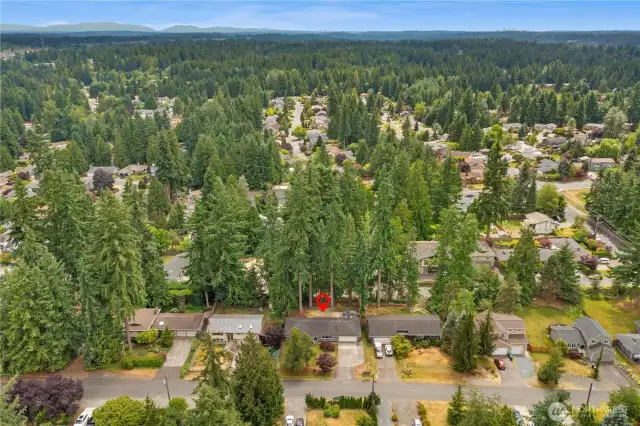 Tucked into a quiet residential Mill Creek street!
