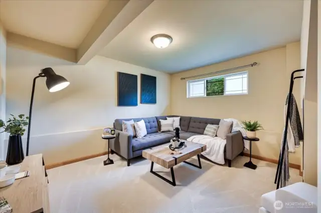 BONUS Room - lower level!  What will you use this room for?  Theatre room? Home Gym? Play Room?  Extra Bedroom?  SO many options