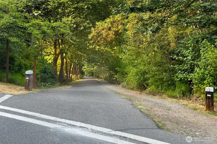 Driveway to property crosses the Burke-Gilman Trail so you can hop on your bike or take a walk on a beautiful trail. Trail goes all the way to University Village, Ballard and Woodinville.