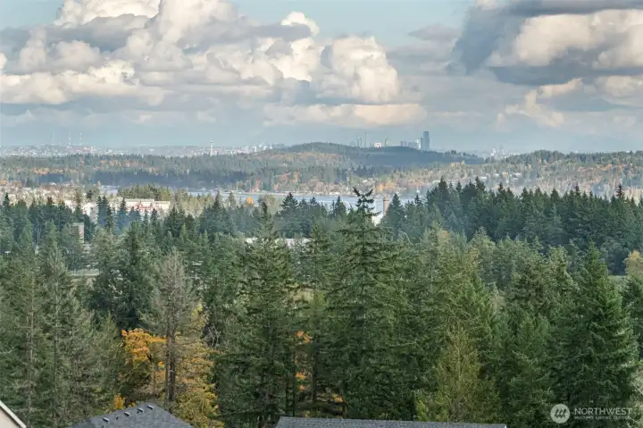 Seattle Skyline and Mountain Views!