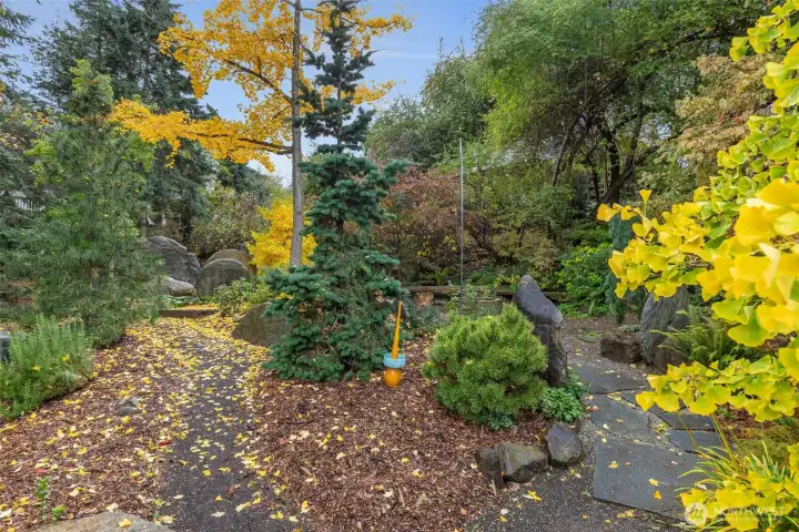 A profusion of specimen trees and seasonal interest