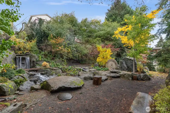 A true nature sanctuary in the midst of the city