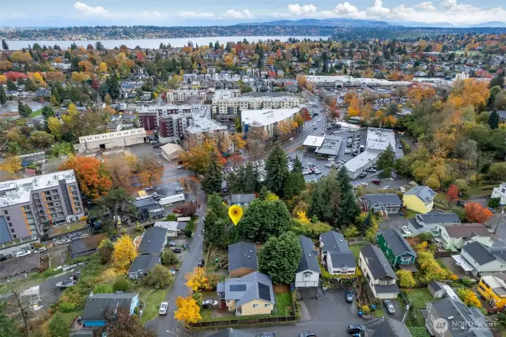As Green Oasis in the midst of city life