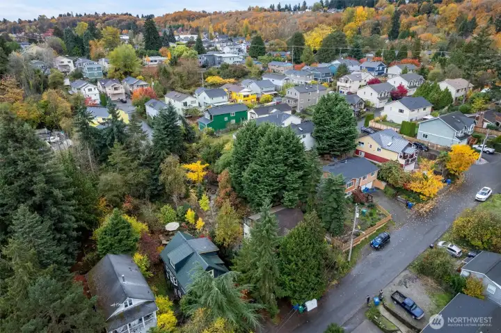 A hidden Nature Sanctuary within the bustle of the city,tucked on a quiet cul de sac.