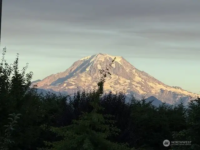 Love it when "the mountain" is out - view from the backyard.