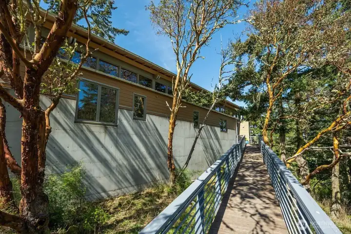 Ramp entry over madrone-lined ravine.