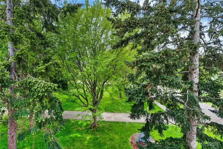 View from the condo feels like you are up in the trees with privacy and a lush background.
