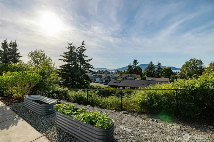 The backyard is fully fenced. The backyard is fully fenced.