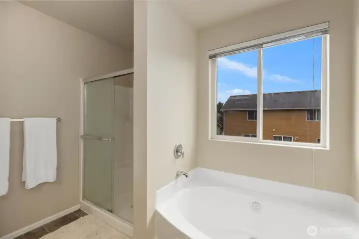 Stand up shower and soaking tub
