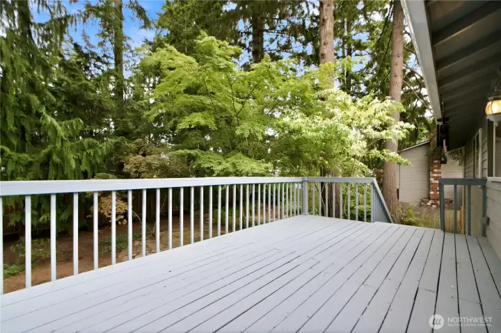 The Entertainment Deck  The perfect spot for summer BBQs.