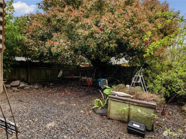 Backyard has a lots of potential for future garden space or yard area. Bring your vision and turn this place into everything you have been looking for!