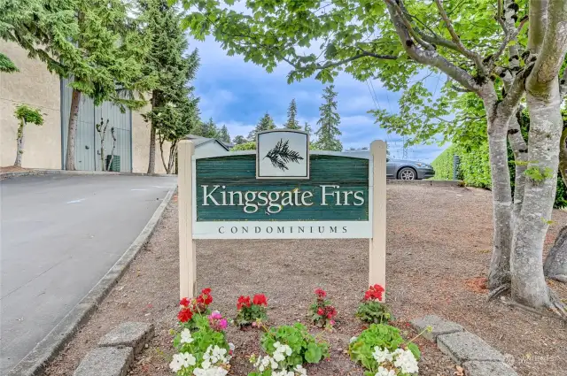 Kingsgate Firs