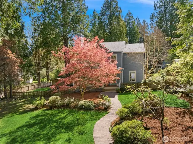 The expansive yard is alive with birds and wildlife