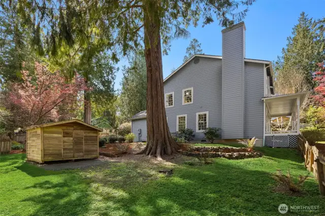 Expansive yard