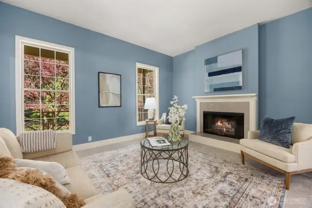 Main level living room