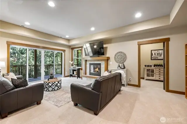 Downstairs rec/family room.