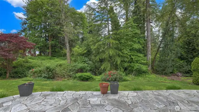 A stunning concrete porch opens to vibrant natural greenery!