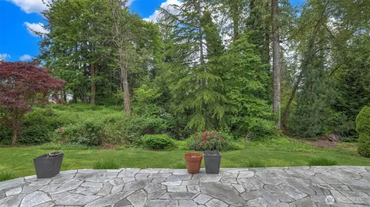 A stunning concrete porch opens to vibrant natural greenery!