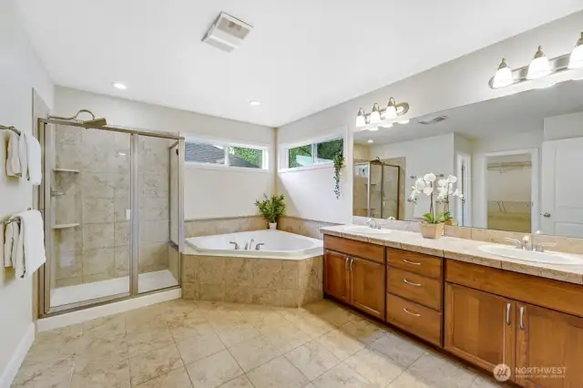 Primary en-suite with large walk-in closet.