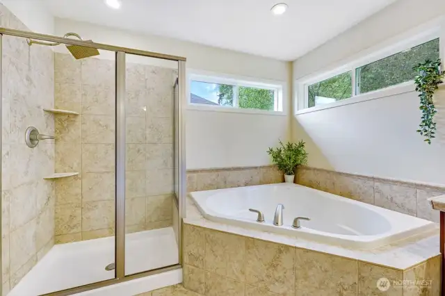 Primary en-suite with large walk-in closet.