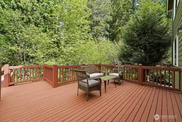 Large extended deck was recently sanded and painted.