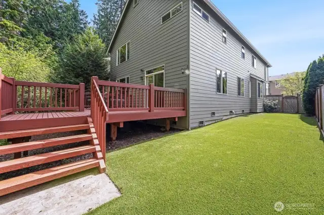 Low maintenance turf in the side yard.