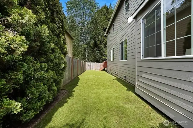 Low maintenance turf in the side yard.