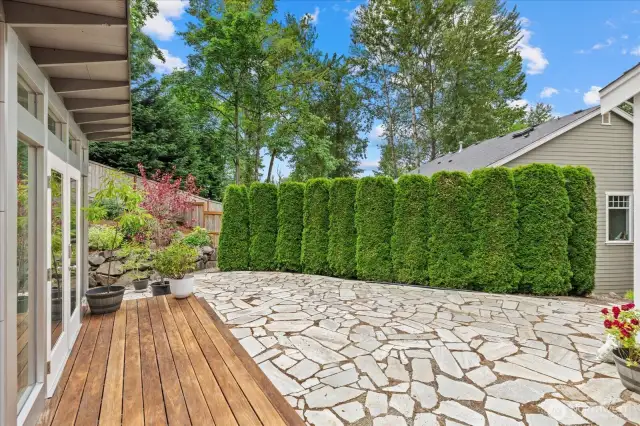 low to no maintenance yard...