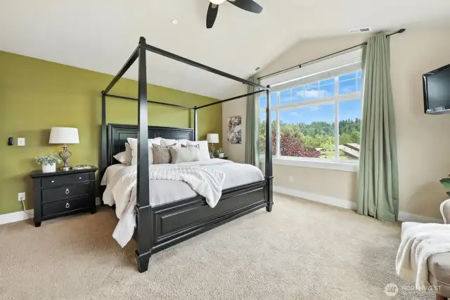 Fits king size bed