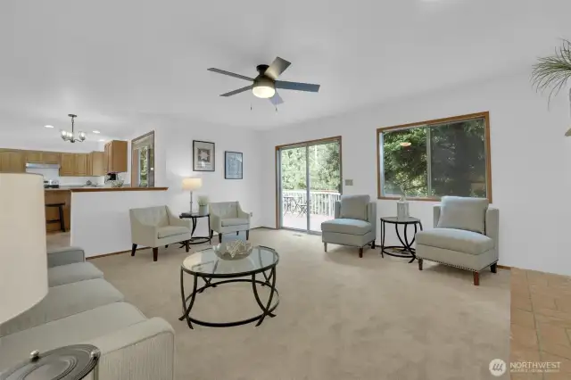 Wonderfully open concept