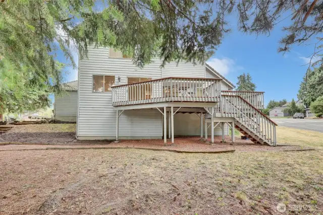 Big backyard with so much potential