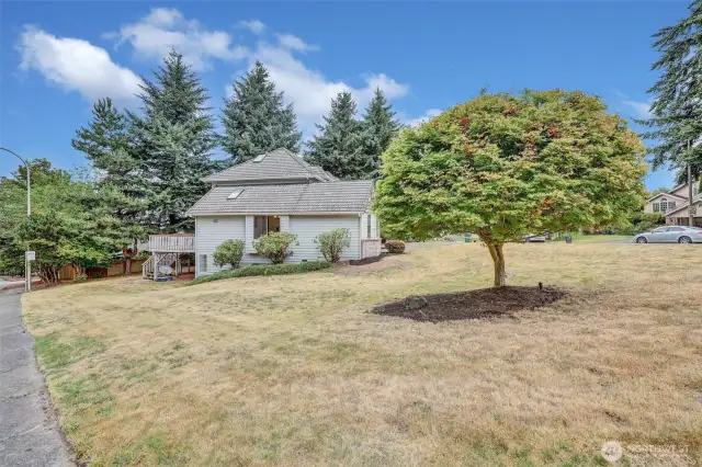 Photo taken from the corner allows you to see how large this yard is.