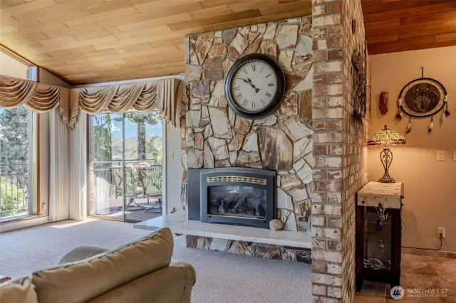 Fireplace in the living room