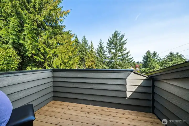 The private deck off the primary suite has open views that include the Capital Dome and Budd Inlet.  A new wood plank deck was just installed.
