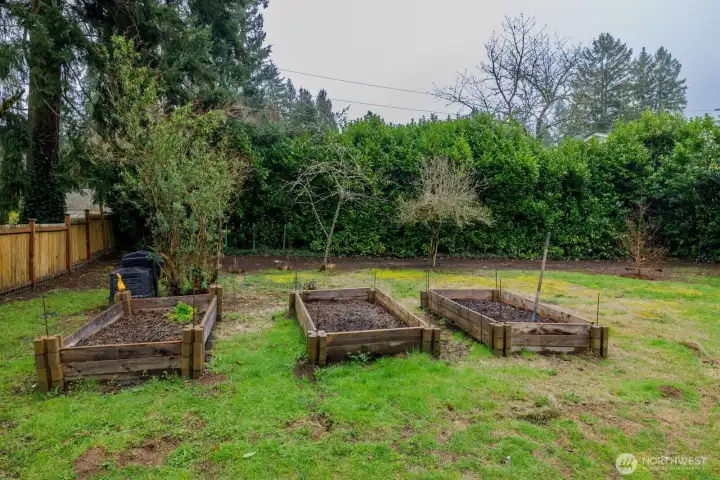 Raised garden beds, mature landscaping - including Dawn Redwood.