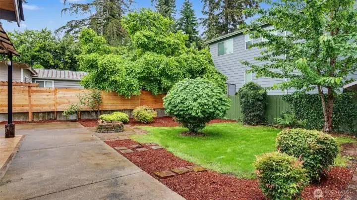 Fully fenced backyard with mature landscaping and open lawn space.