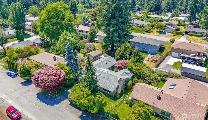 Gray roof in the center of the aerial photo.