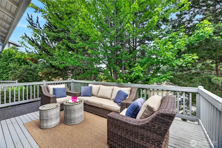 There is a lower level deck as well. Time to BBQ! There is a lower level deck as well. Time to BBQ!