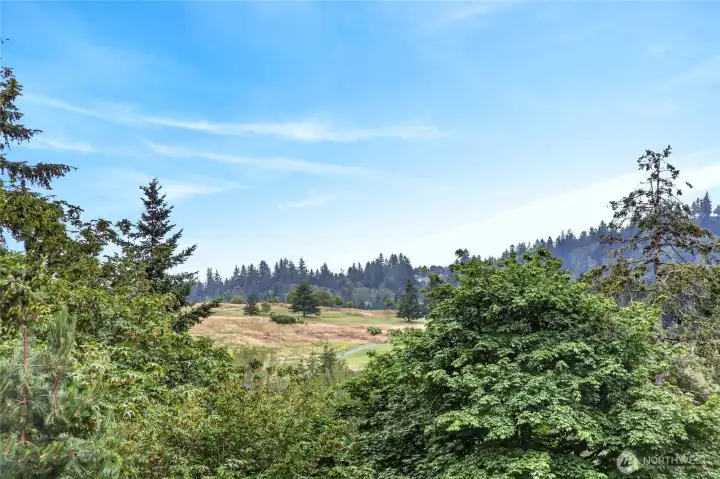 Proximity to The Golf Club at Newcastle - a public golf course. Proximity to The Golf Club at Newcastle - a public golf course.