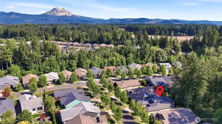 Beautiful Mt. Rainier views are just minutes away!