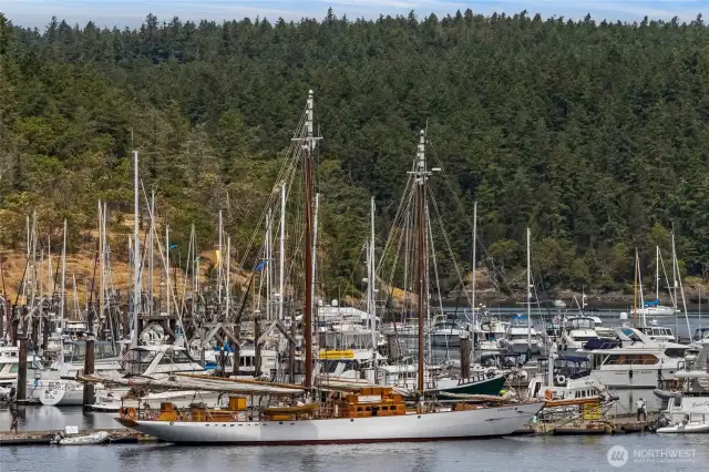 Boating activity in the marina passed the ferry terminal.