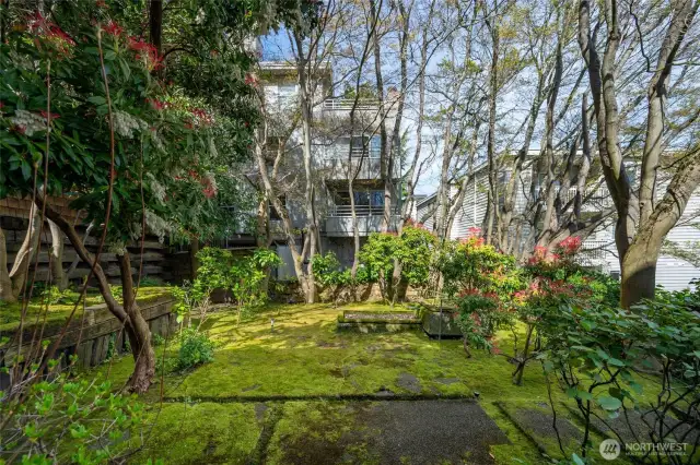 The location is also super close to the bike path to Myrtle Edwards Park and onto Seattle's Waterfront.