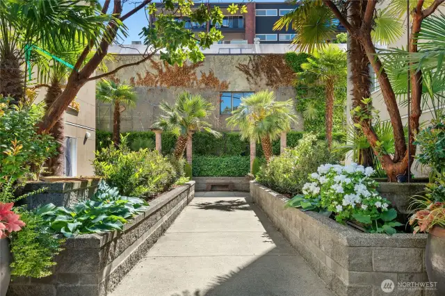 Step through the secure gate into a lush, landscaped courtyard—a hidden gem in the city.