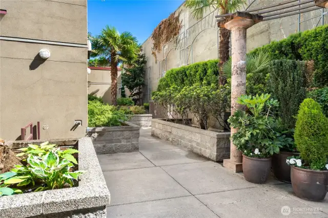 A quiet welcome home: this courtyard blends natural beauty with everyday calm.