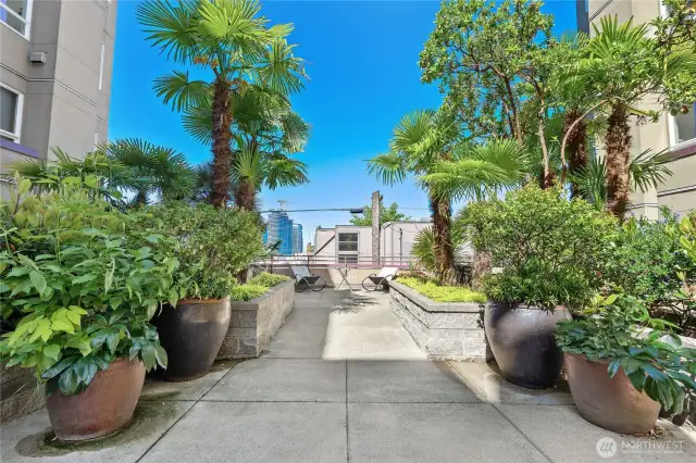 Peaceful and green, this shared outdoor space feels like your own private garden.