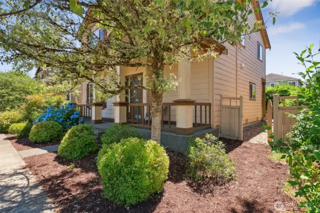 Gate takes you to side yard and back around to back patio off of kitchen and alleyway garage access.