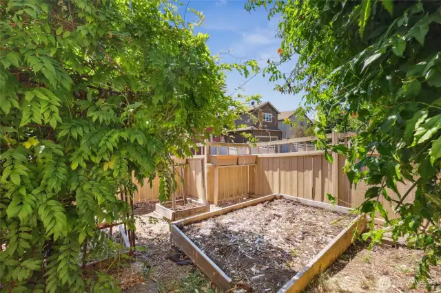 Room for raised garden beds with flexible options—add grass to expand the lawn, relocate the beds along the fence line, or transform the area into a larger hardscaped yard.